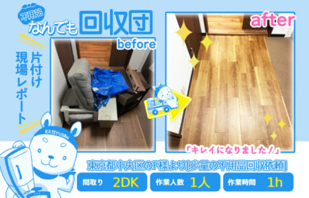 回収事例 41 dc1bbe8cfe19a35e9cb784c69d6c0364