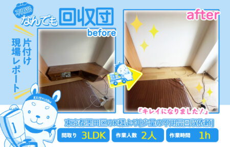 少量の不用品回収(一軒家3LDK)|東京都墨田区のK様 30 dd1373fd9182f5d6a105a47b60bc245c