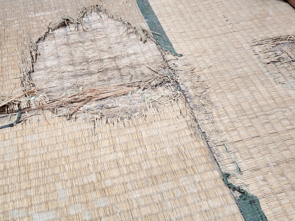 畳の処分方法を徹底解説|捨て方・費用相場・迷ったときの選び方 6 自治体以外の処分方法