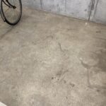 IMG 6870
