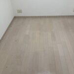 IMG 9254