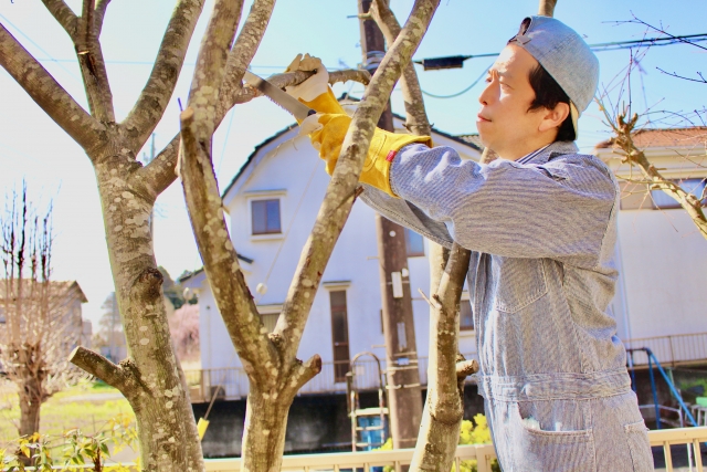 剪定枝・木の枝の捨て方を解説|処分方法別の料金や再利用アイデア 7 自治体以外での剪定枝の処分方法