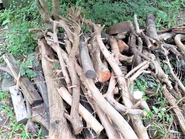 剪定枝・木の枝の捨て方を解説｜処分方法別の料金や再利用アイデア