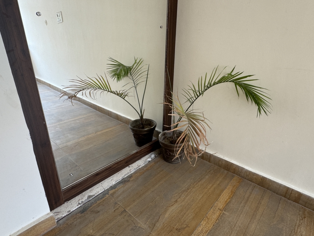 鏡の捨て方|割れた姿見・手鏡の処分方法や縁起が気になる場合の対処法 3 自治体では何ゴミ?鏡の捨て方