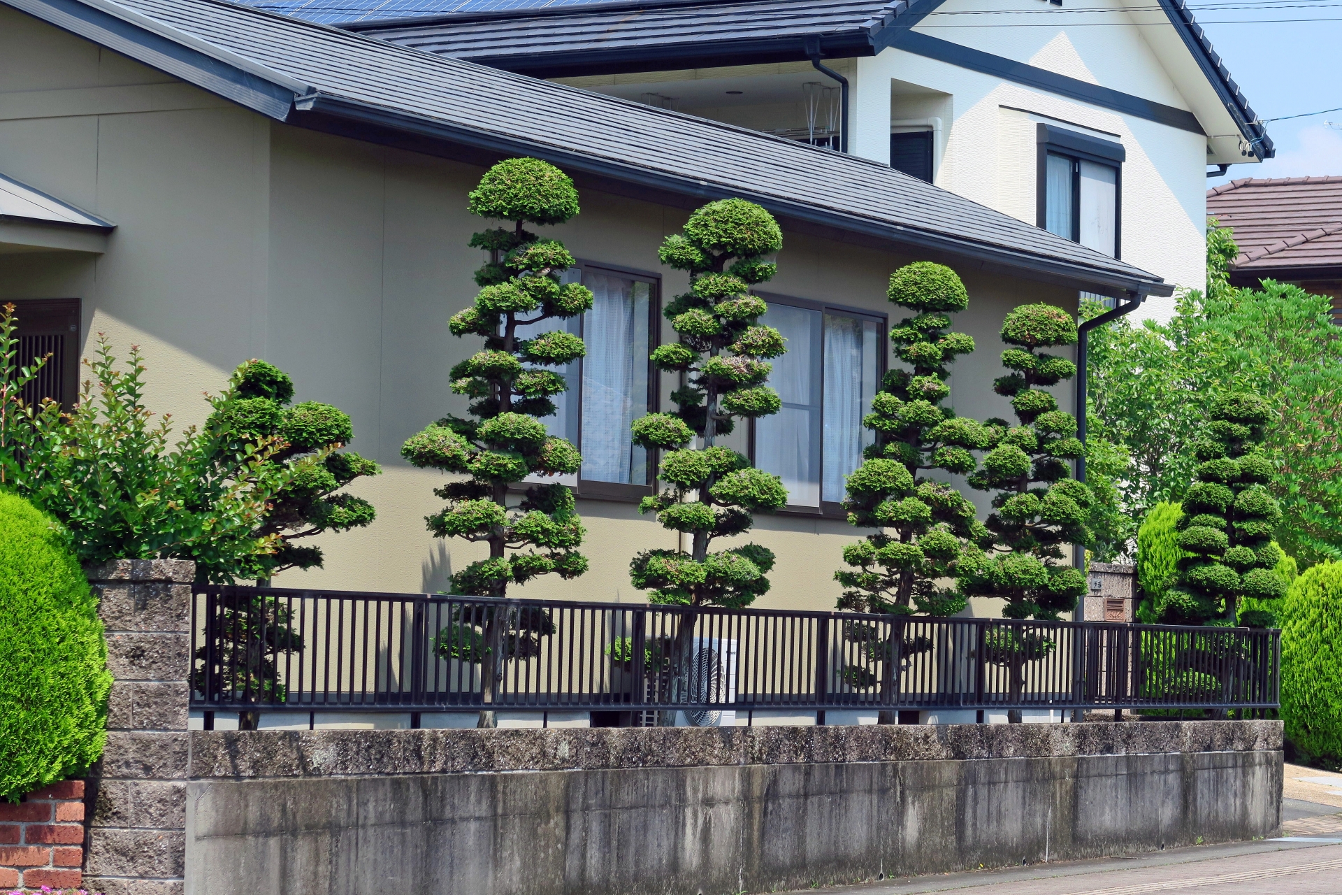 生木や植木の処分時の注意点