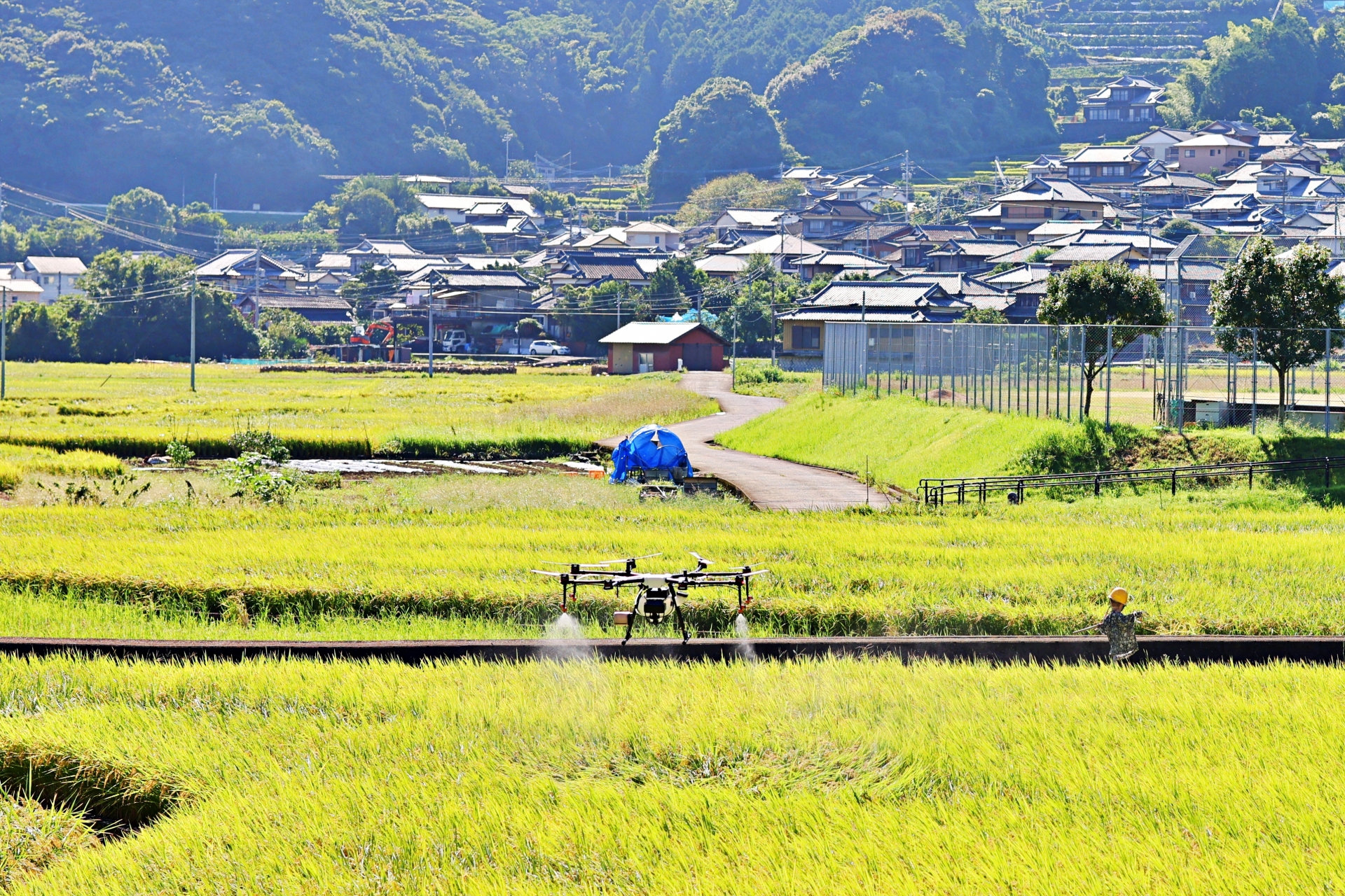 事業用農薬の処分方法！