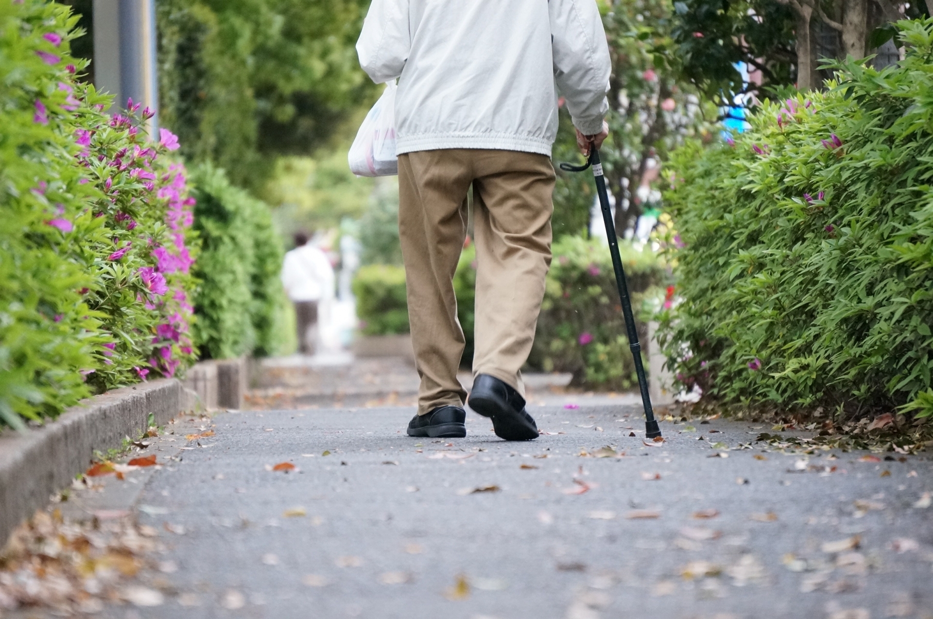 おひとりさまの終活でやるべきこと！一人暮しや身寄りのない方も安心