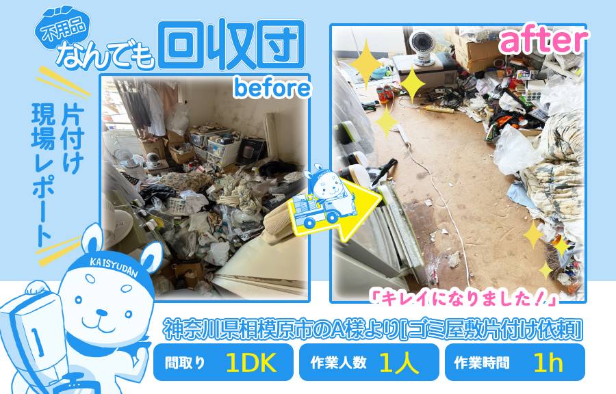 1bde18c55491ee2c8a8af8729e9efe63