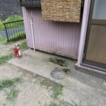 S 135479309 0