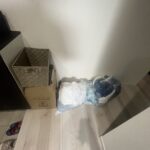 S 55255055 0