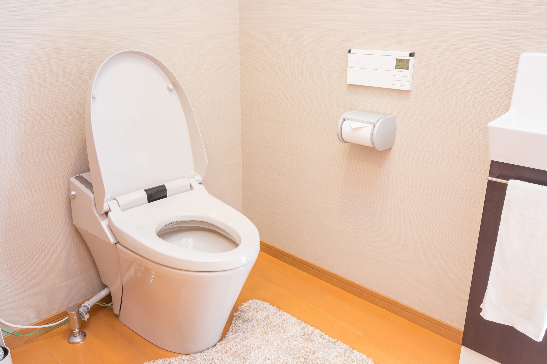 猫砂をトイレに流す際のポイント