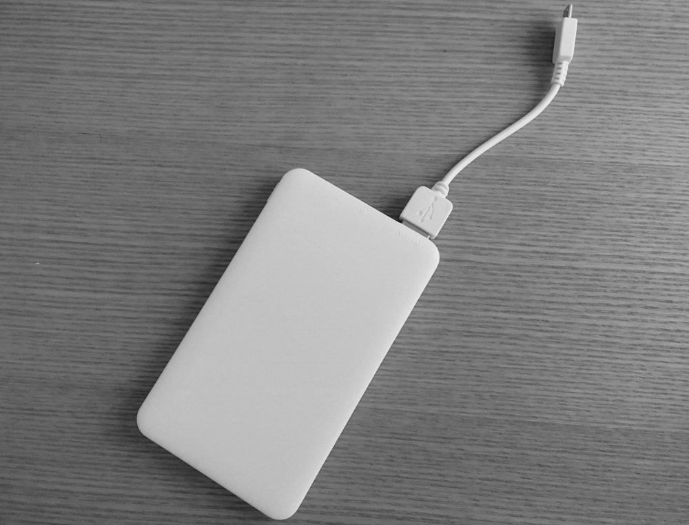 イオンでモバイルバッテリーを回収してもらう流れ|実施店舗も紹介 6 イオンで回収する以外のモバイルバッテリー処分方法