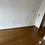 S 138018895 0