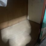 S 7766099 0
