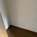 S 8134781 0