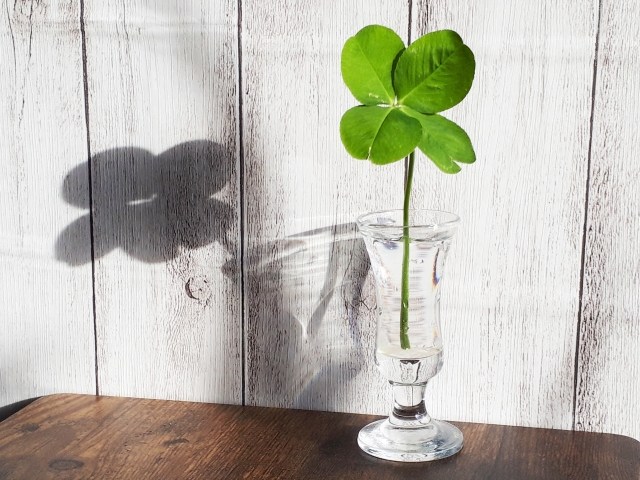 断捨離で運気に変化が表れるまでの期間はどれくらい?実際の体験談も紹介 5 運気アップまでどれくらい?変化が表れた体験談