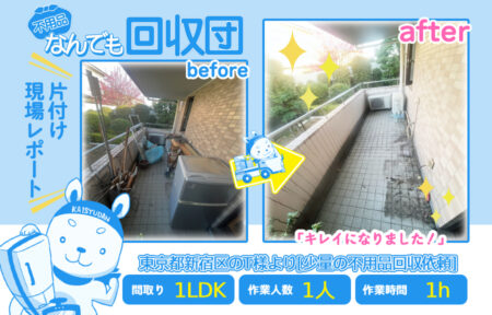 少量の不用品回収(マンション1LDK)|東京都新宿区のT様 12 568bb56c87d02e4c36e5d591fe116fde