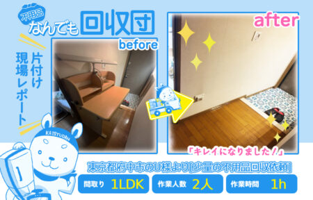 少量の不用品回収(マンション1LDK)|東京都府中市のU様 1 5c6596f841f9ac6d6808c9f55a7768dc