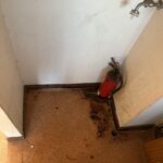 S 62177315 0 e1776490672984