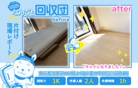 少量の不用品回収(アパート1K)|東京都江東区のU様 2 a297c8c8ad00d7ad63d0b12e5df44ccd